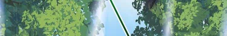 Lão Tổ Luyện Thể Mạnh Nhất Lịch Sử - Chương 41 - ảnh 262