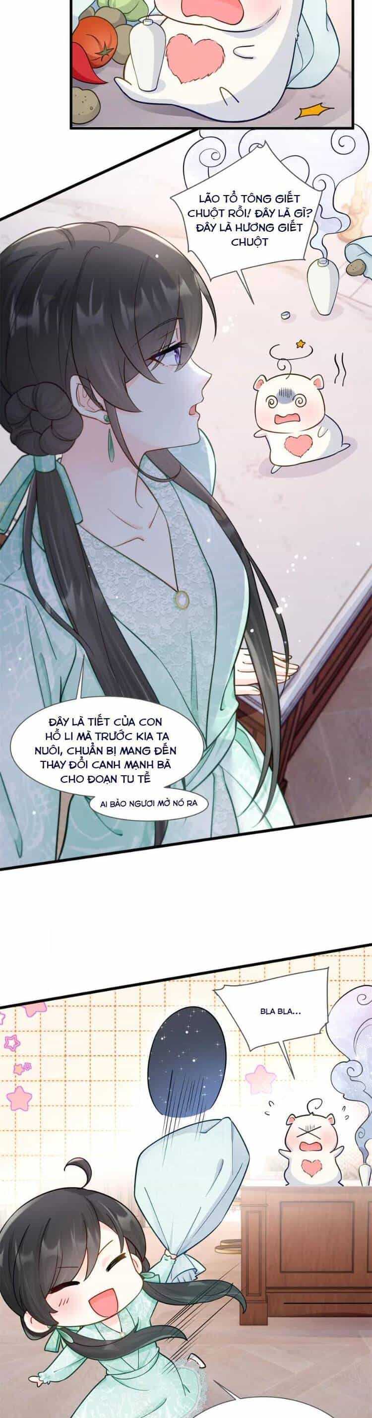 Lão Tổ Tông Vừa Xinh Vừa Ngầu - Chương 73 - ảnh 5