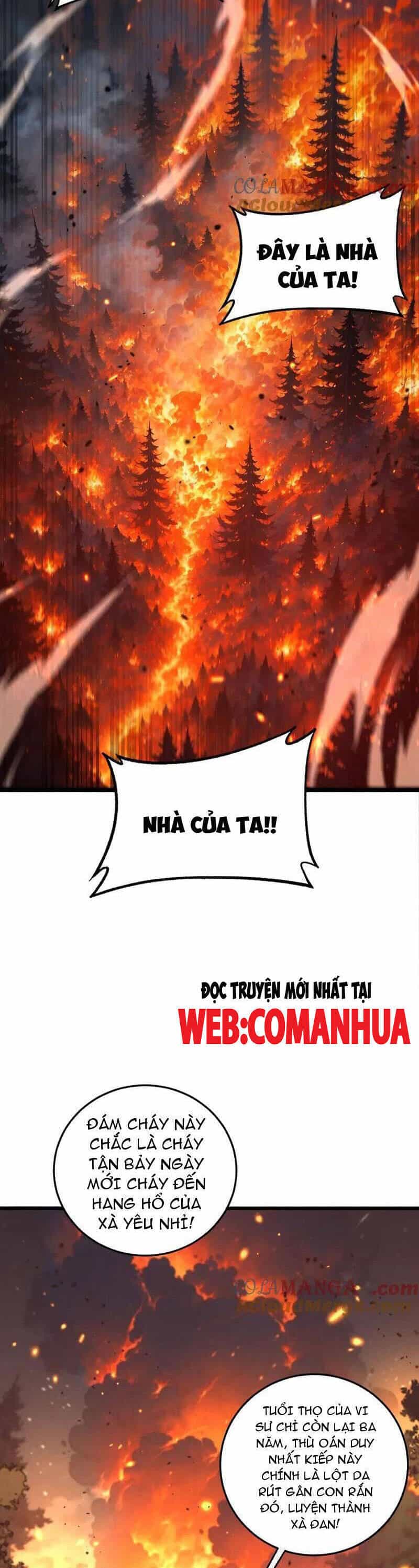 Lão Xà Tu Tiên Truyện - Chương 16 - ảnh 29