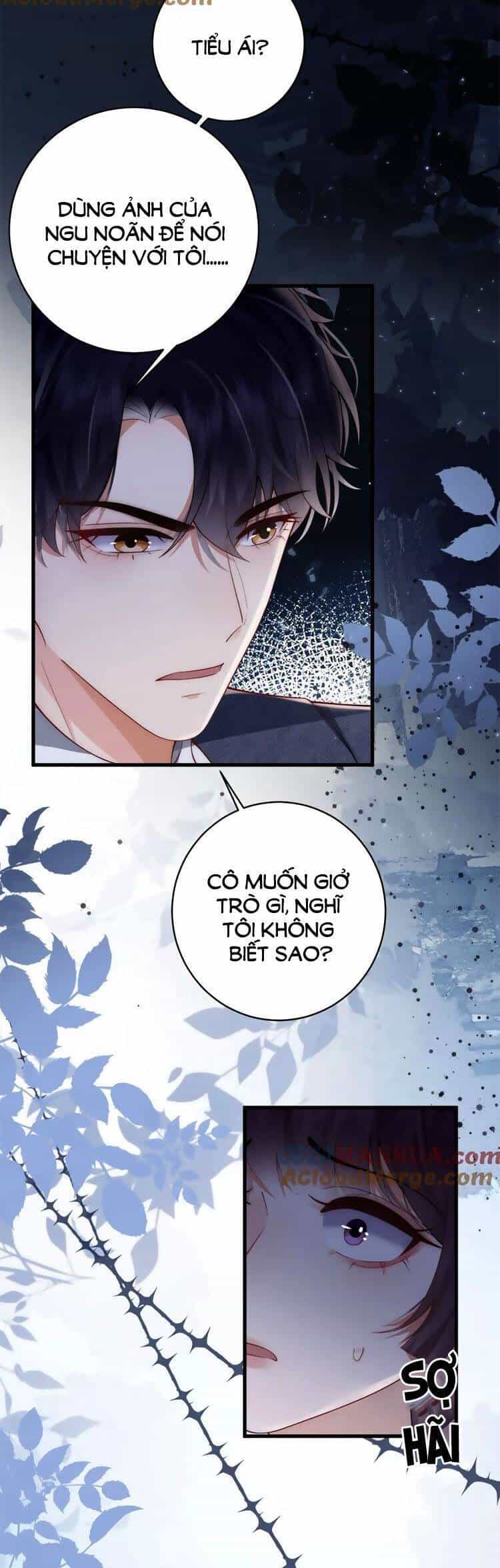 Lên Nhầm Giường Tổng Tài , Được Chồng Như Ý - Chương 19 - ảnh 3