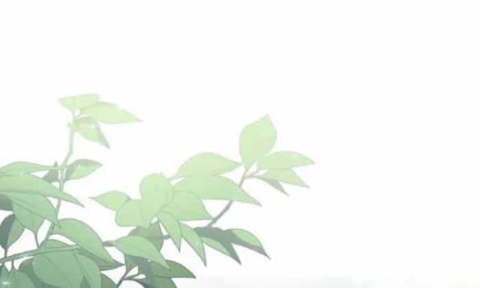 Level Up Chỉ Bằng Cách Ăn Cơm - Chương 103 - ảnh 144