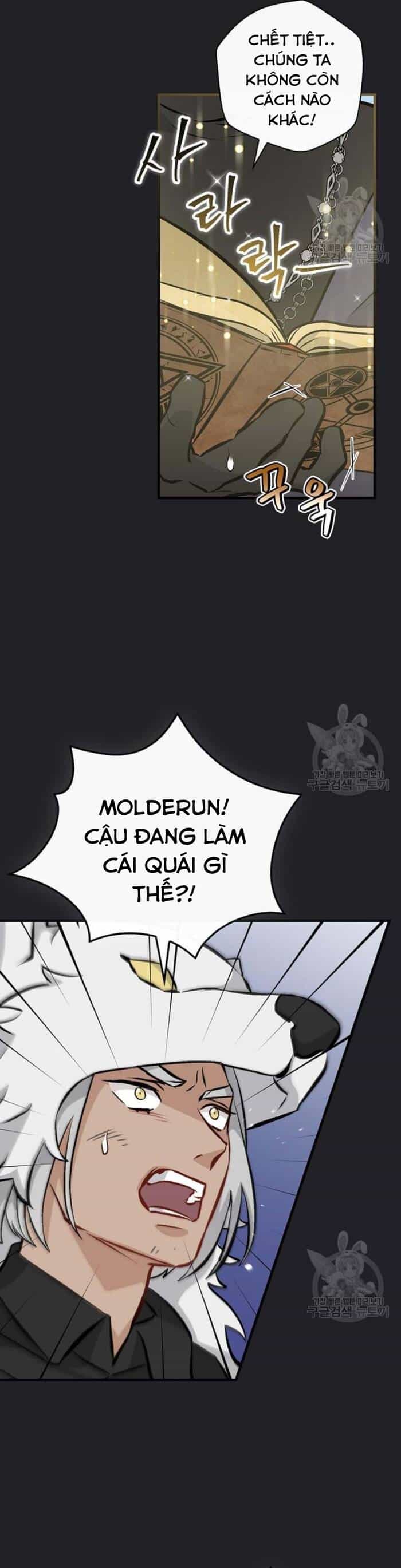 Level Up Chỉ Bằng Cách Ăn Cơm - Chương 137 - ảnh 24