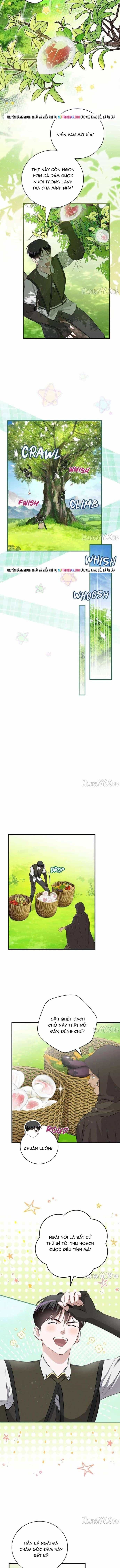 Level Up Chỉ Bằng Cách Ăn Cơm - Chương 207 - ảnh 11