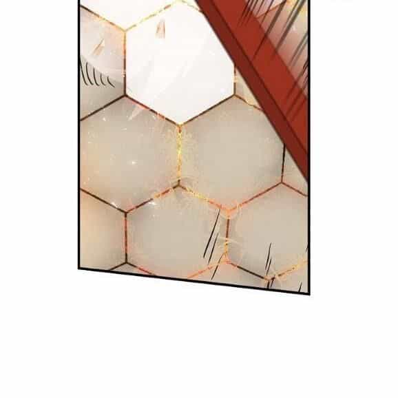 Level Up Chỉ Bằng Cách Ăn Cơm - Chương 44 - ảnh 87