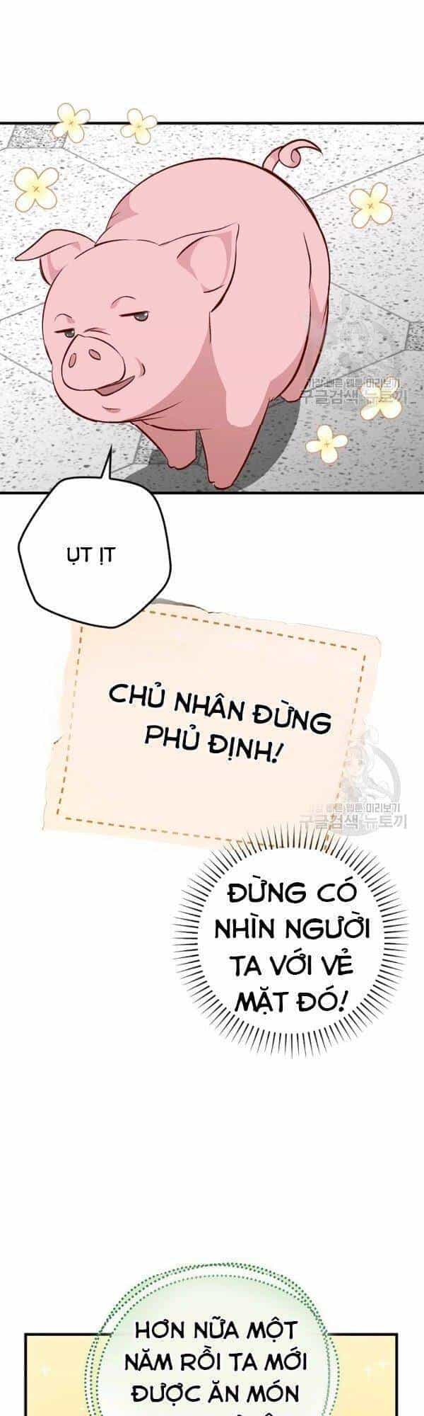 Level Up Chỉ Bằng Cách Ăn Cơm - Chương 66 - ảnh 44