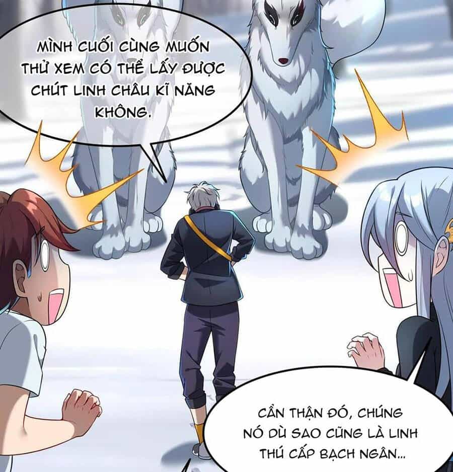 Linh Khí Khôi Phục: Ta Mỗi Ngày Thu Được Một Cái Kỹ Năng Mới - Chương 39 - ảnh 36