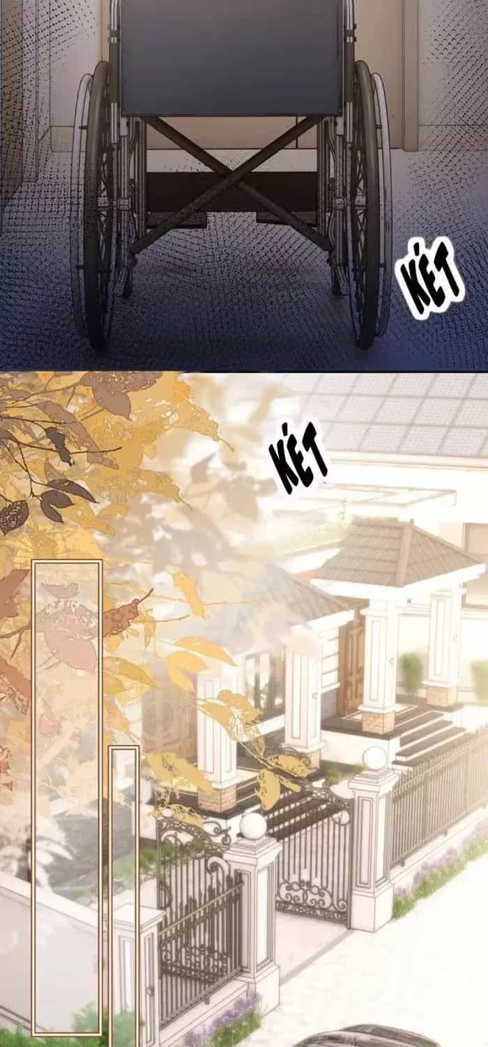 Lời Sám Hối Muộn Màng - Chương 66 - ảnh 17