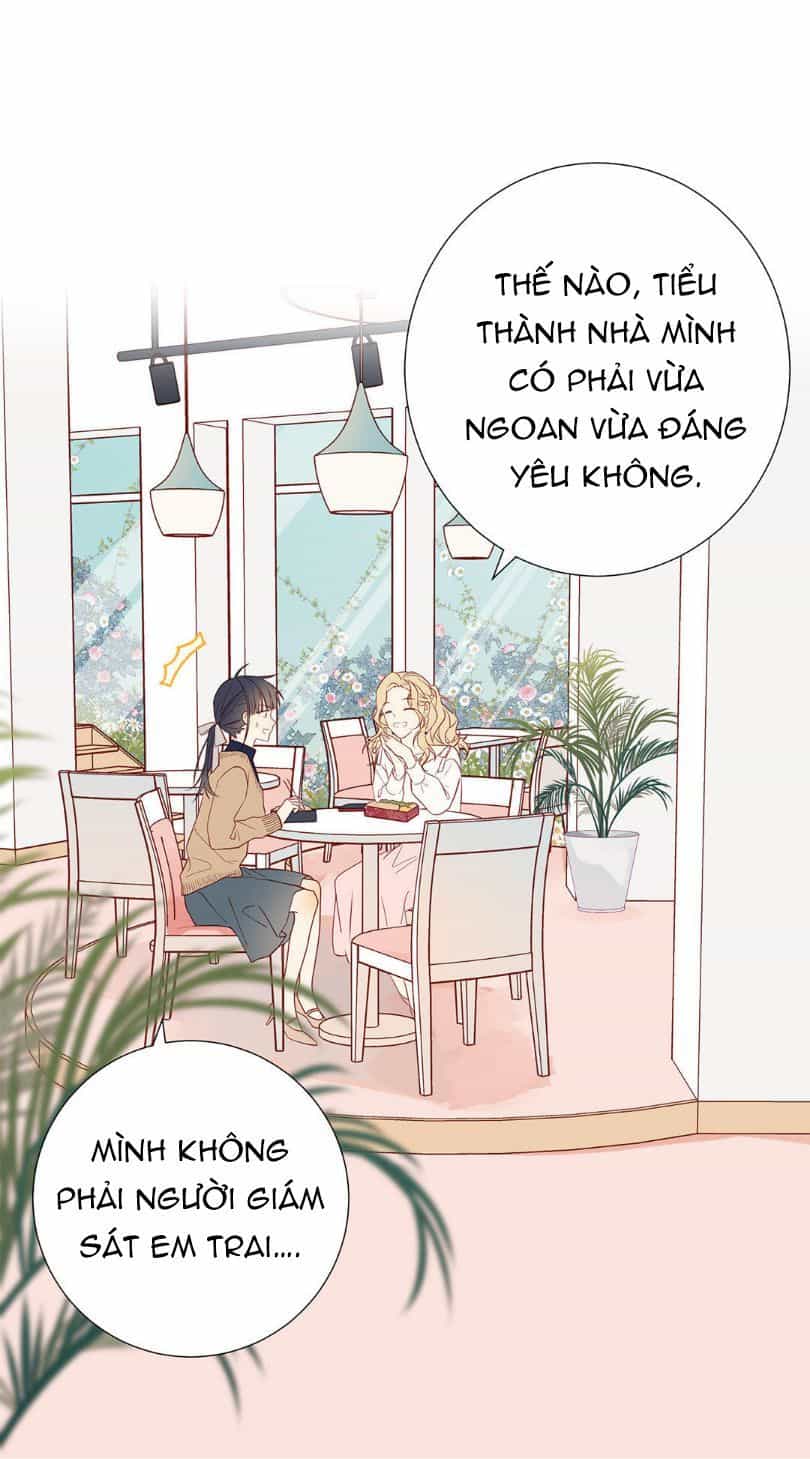 Lời Thề Như Sương Triều - Chương 10 - ảnh 17