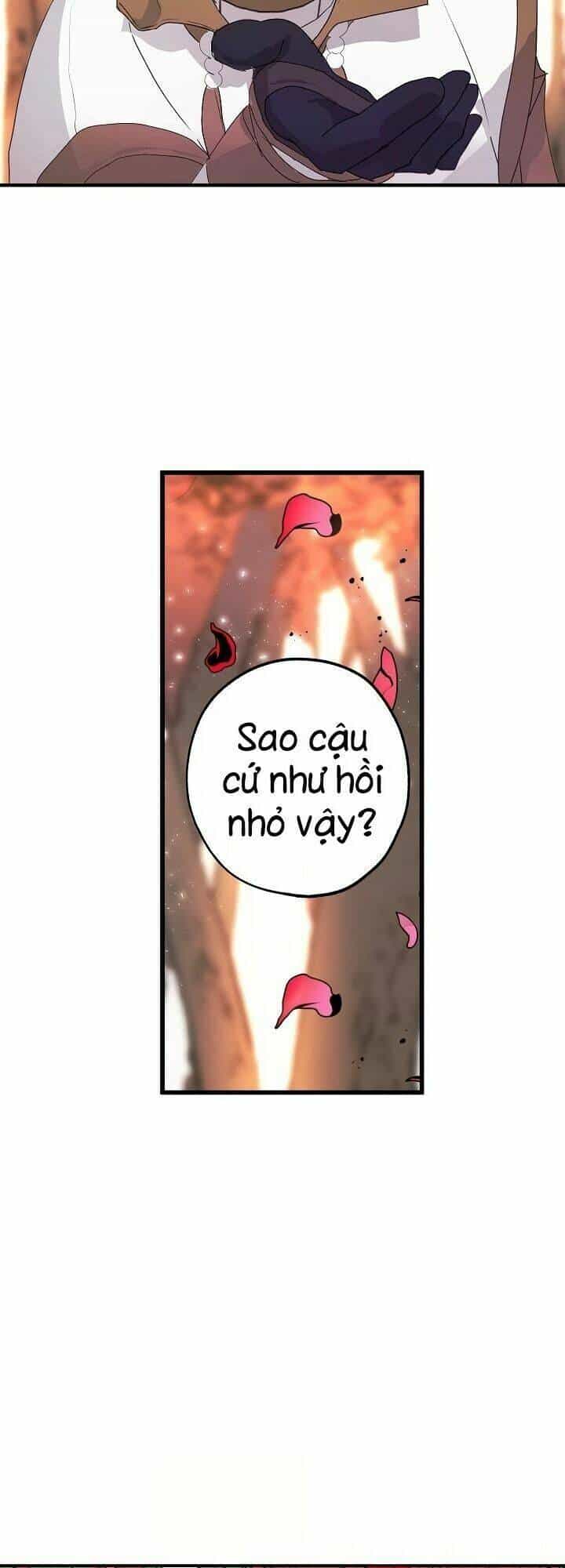 Lời Thú Nhận Nhầm Lẫn - Chương 27 - ảnh 40