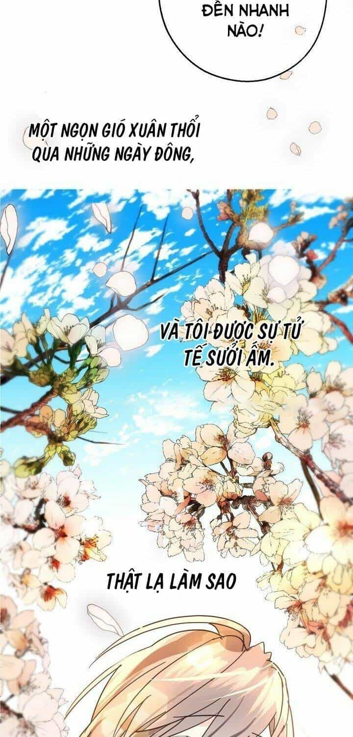 Lời Thú Nhận Nhầm Lẫn - Chương 36 - ảnh 61