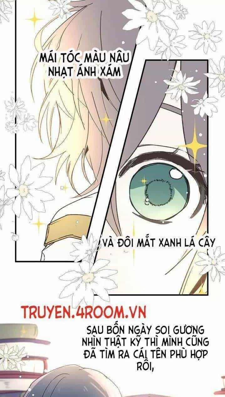 Lời Thú Nhận Nhầm Lẫn - Chương 5 - ảnh 47