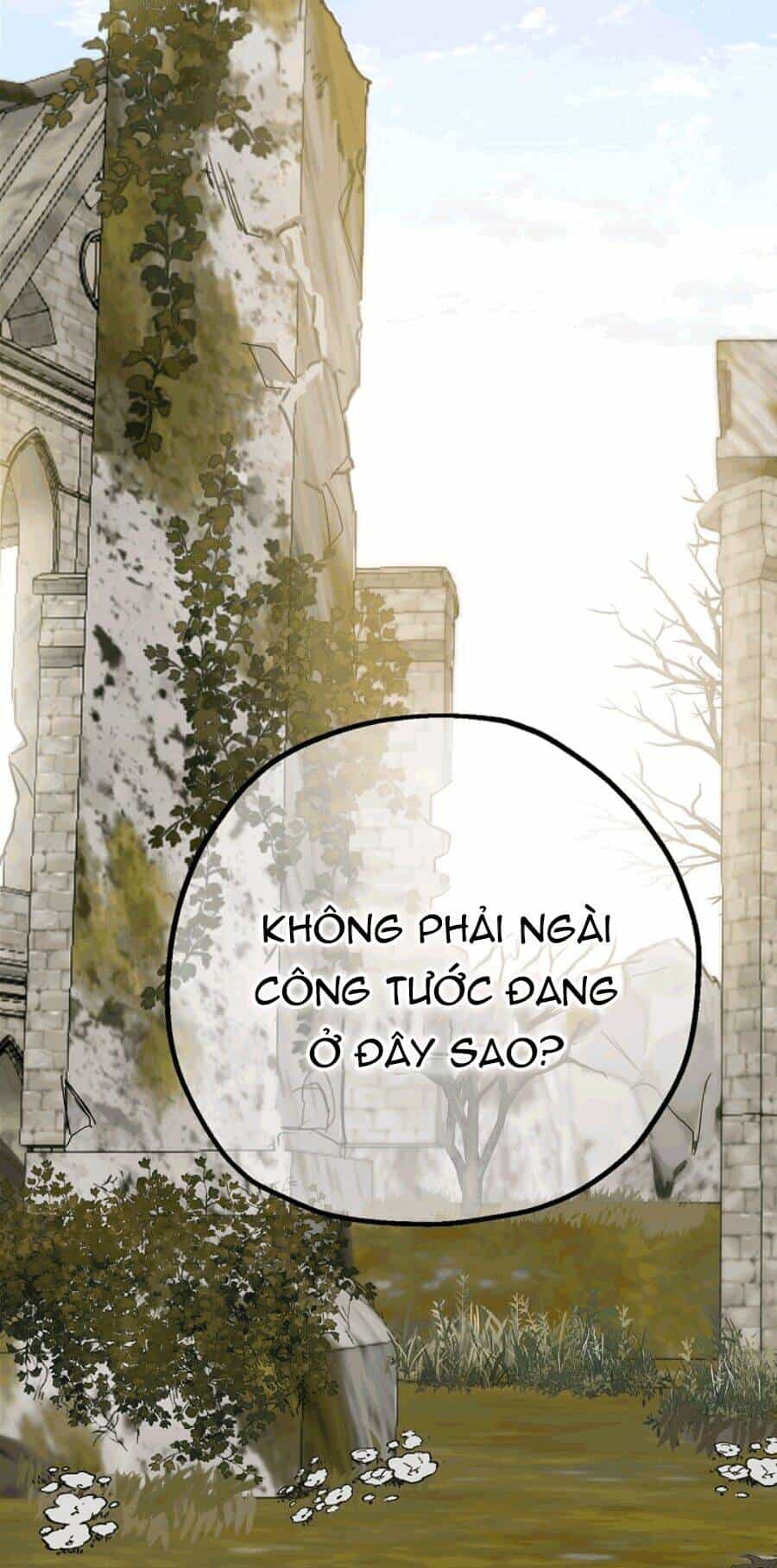 Lời Thú Nhận Nhầm Lẫn - Chương 51 - ảnh 42