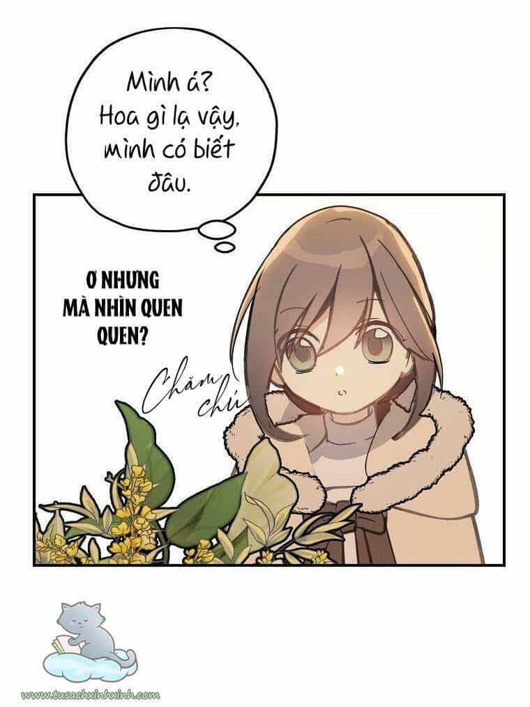 Lời Thú Nhận Nhầm Lẫn - Chương 56 - ảnh 28