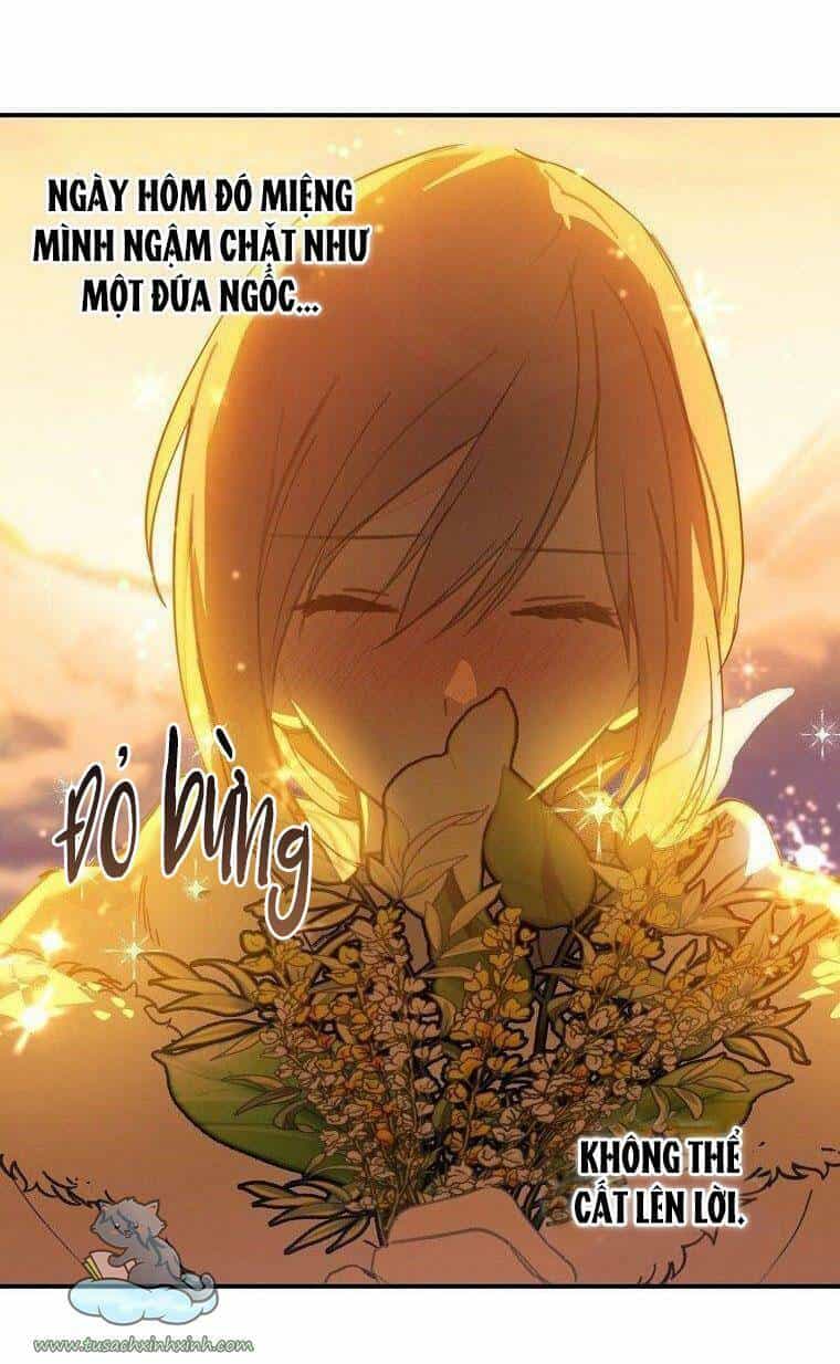 Lời Thú Nhận Nhầm Lẫn - Chương 56 - ảnh 43