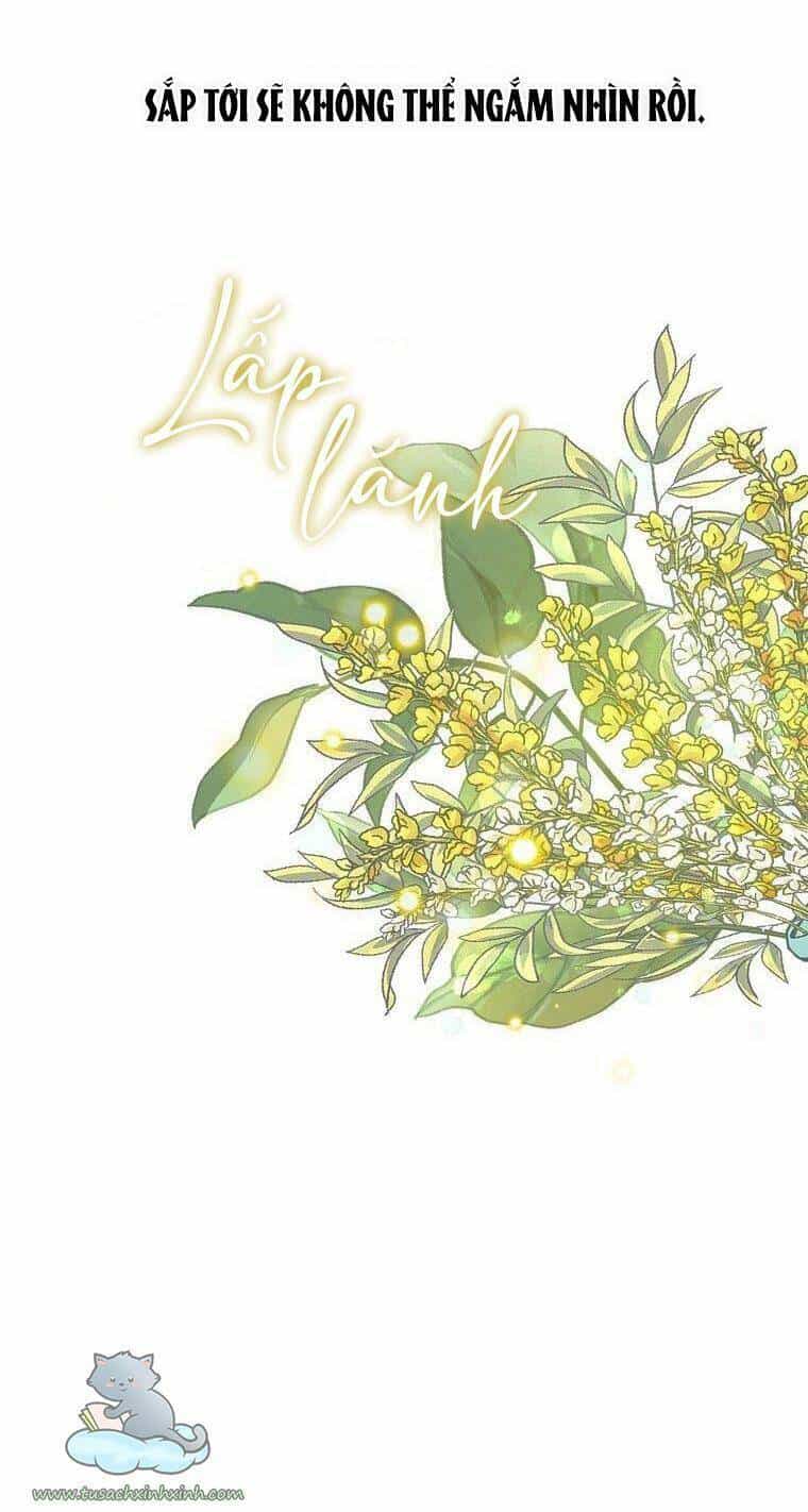 Lời Thú Nhận Nhầm Lẫn - Chương 56 - ảnh 48
