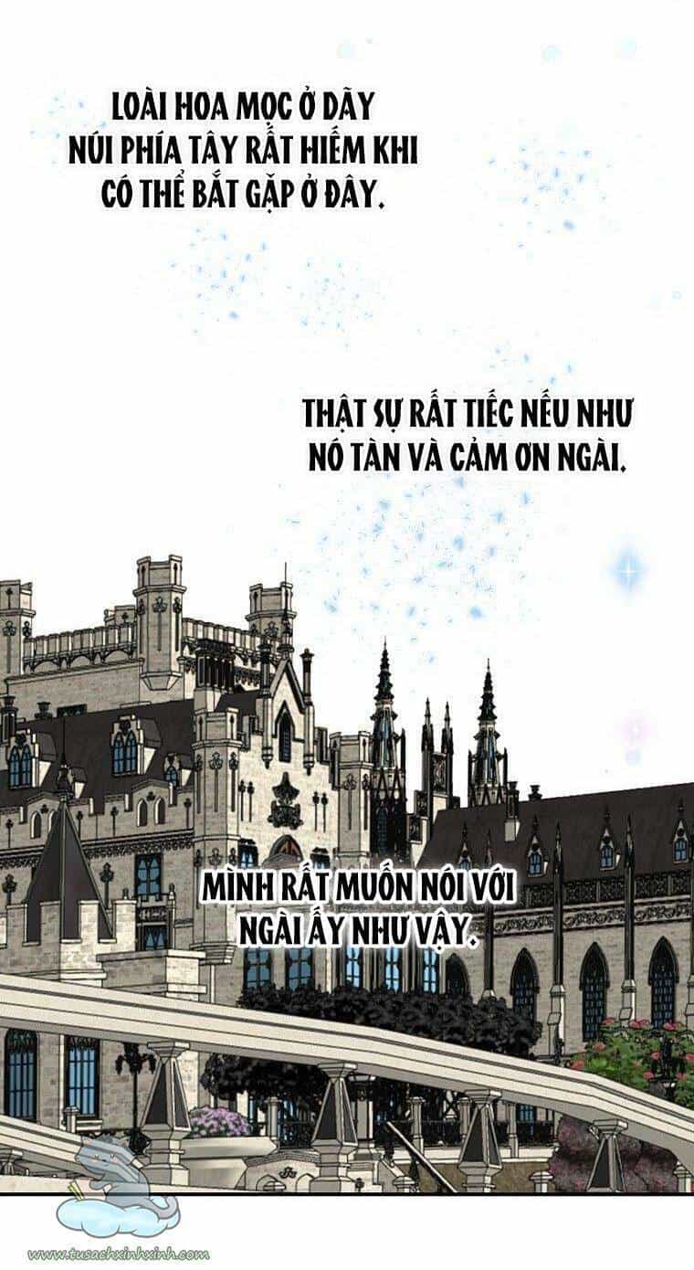 Lời Thú Nhận Nhầm Lẫn - Chương 56 - ảnh 70