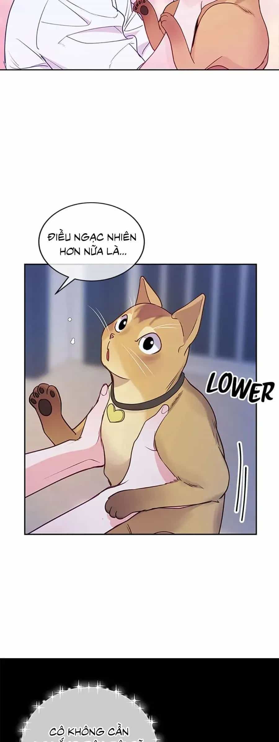 Lời Tỏ Tình Đáng Ngờ - Chương 23 - ảnh 28