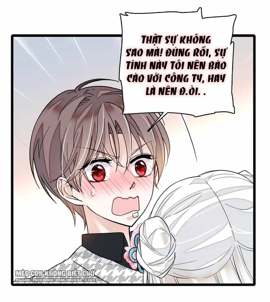 Long Phượng Phiên Chuyển - Chương 24 - ảnh 30