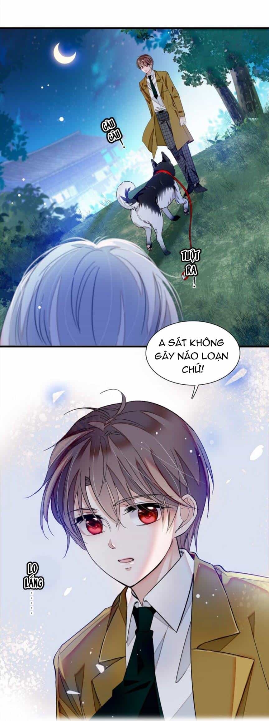Long Phượng Phiên Chuyển - Chương 63 - ảnh 8