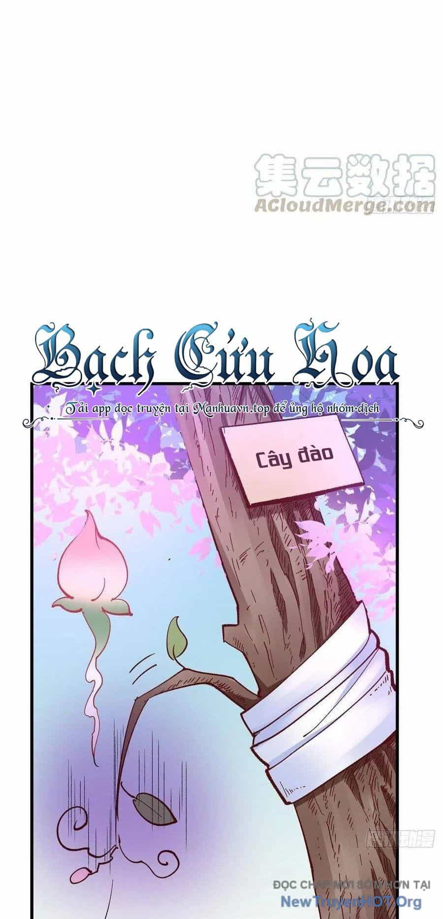Long Trù - Chương 45 - ảnh 39