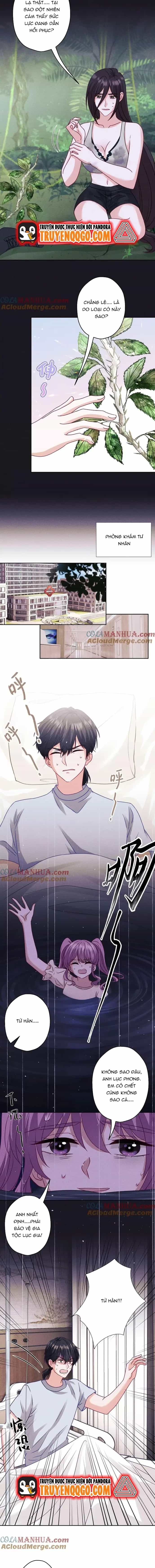 Long Vương Điện: Người Ở Rể Giàu Nhất - Chương 231 - ảnh 2