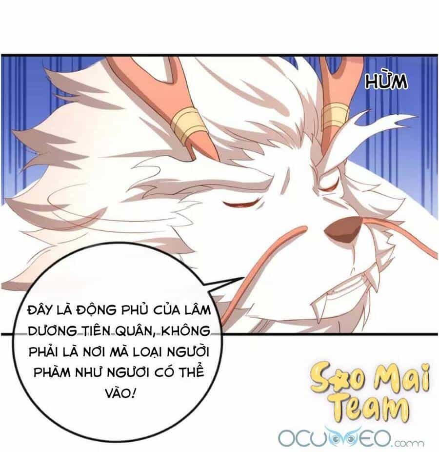 Long Vương Truy Thê - Chương 10 - ảnh 14