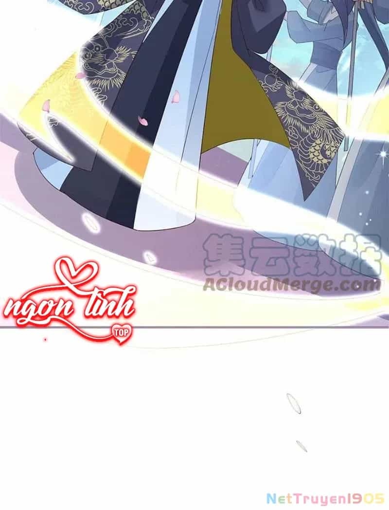 Long Vương Truy Thê - Chương 37 - ảnh 70