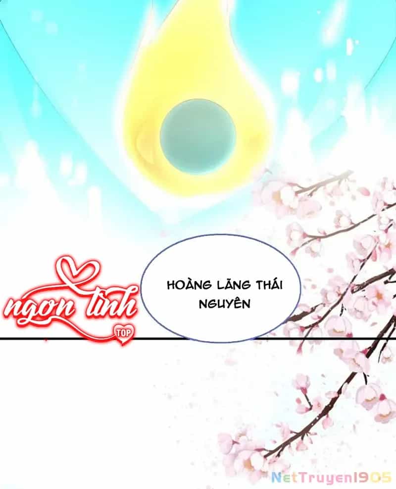 Long Vương Truy Thê - Chương 40 - ảnh 16