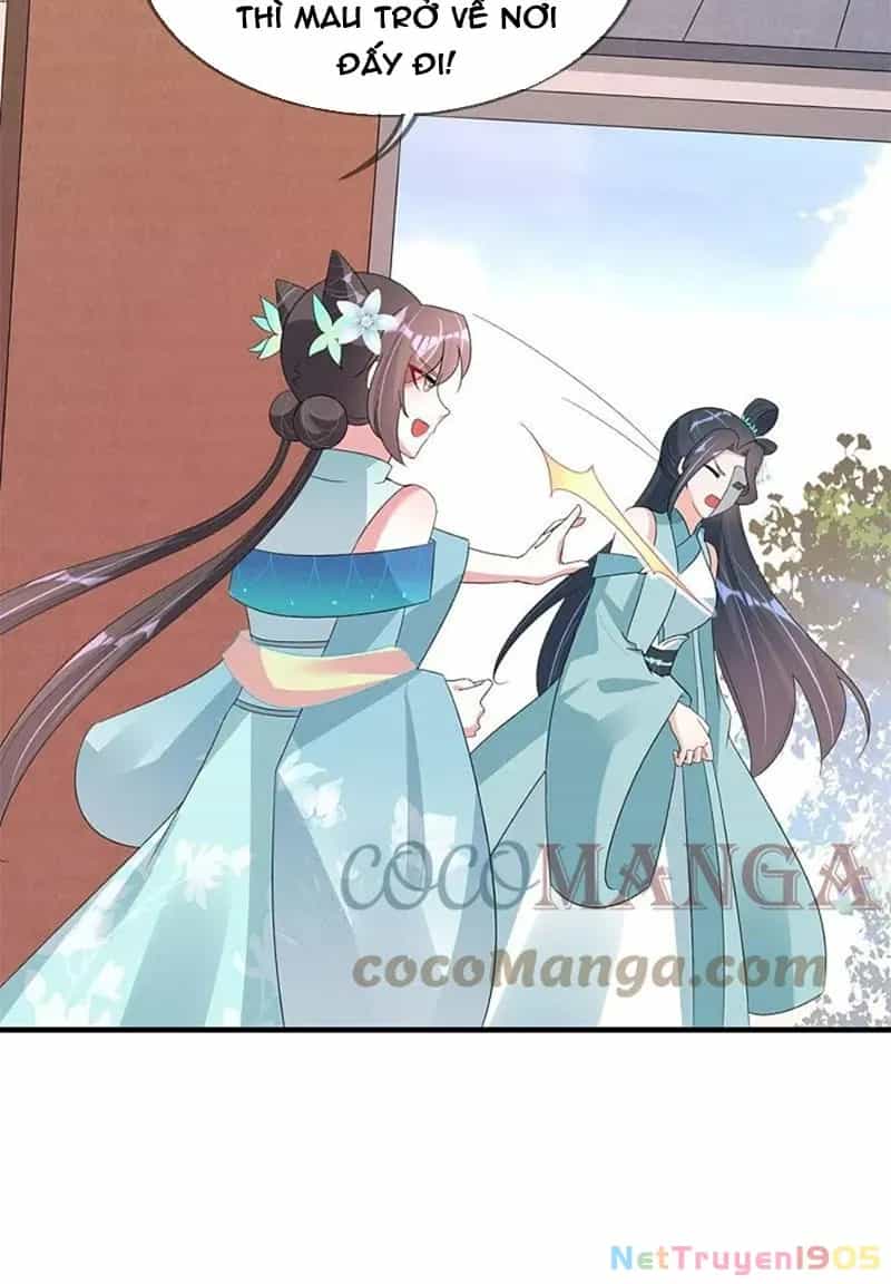 Long Vương Truy Thê - Chương 43 - ảnh 76
