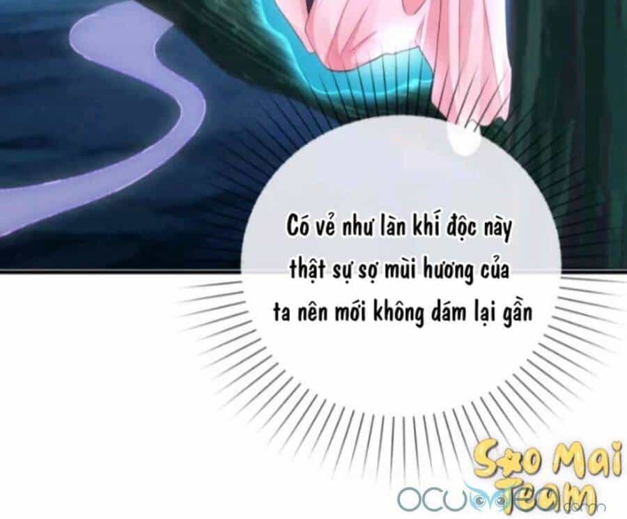 Long Vương Truy Thê - Chương 7 - ảnh 13