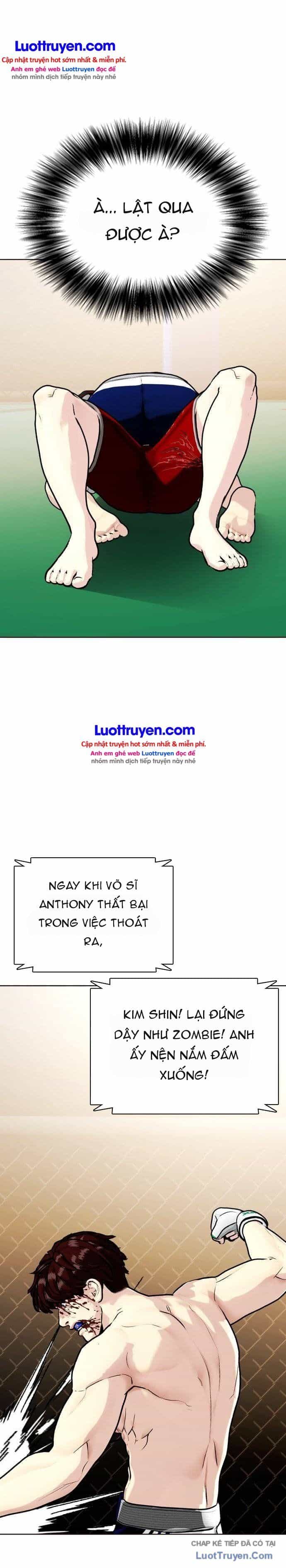 Loser Giỏi Võ - Chương 170 - ảnh 16