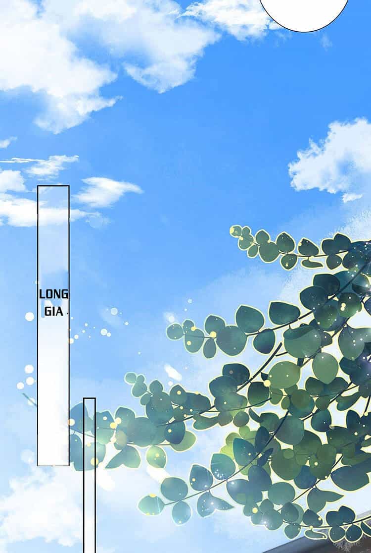 Lừa Boss Làm Bà Mai - Chương 2 - ảnh 21