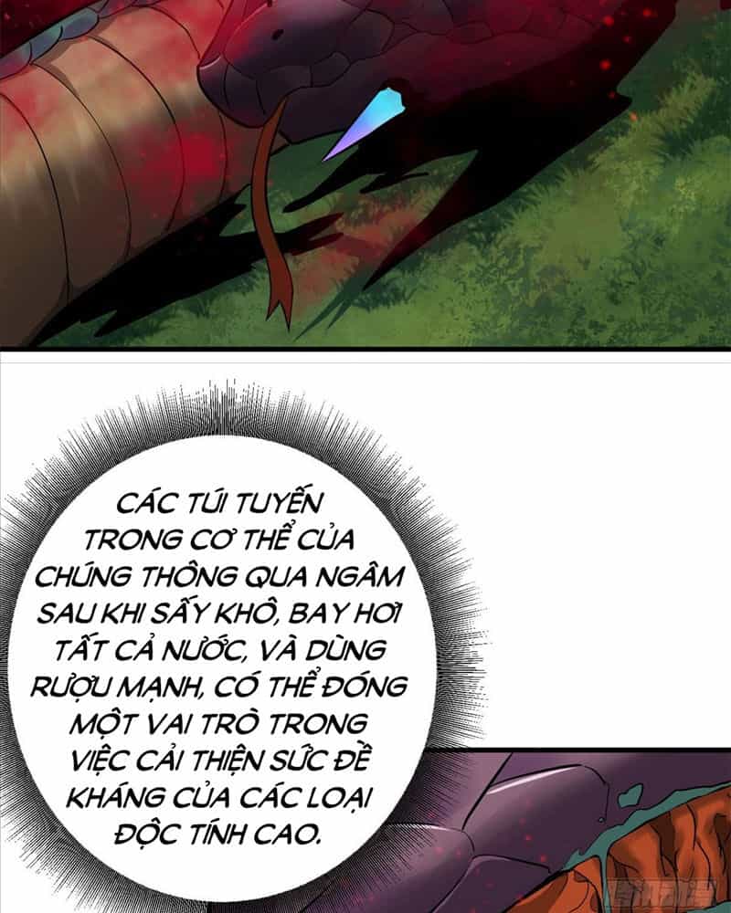 Luân Bàn Thế Giới - Chương 139 - ảnh 50