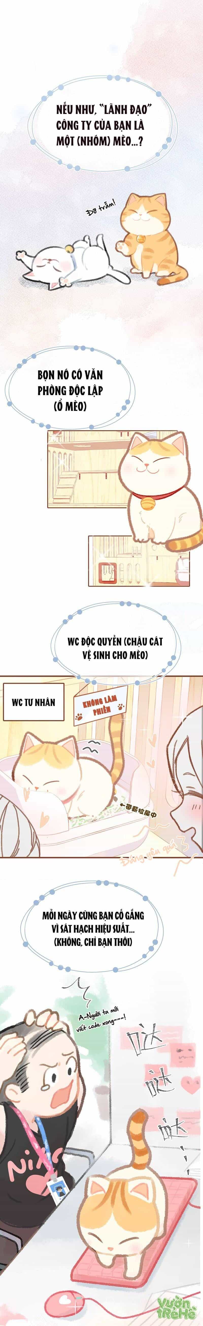 Lục Lạc Mèo - Chương 0 - ảnh 2
