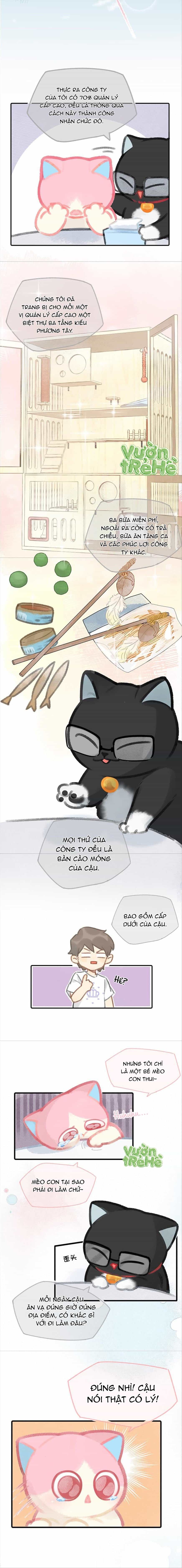 Lục Lạc Mèo - Chương 9 - ảnh 4