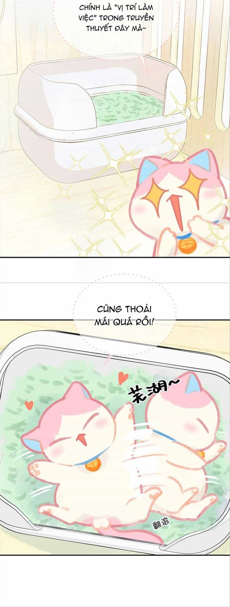 Lục Lạc Mèo - Chương 11 - ảnh 4