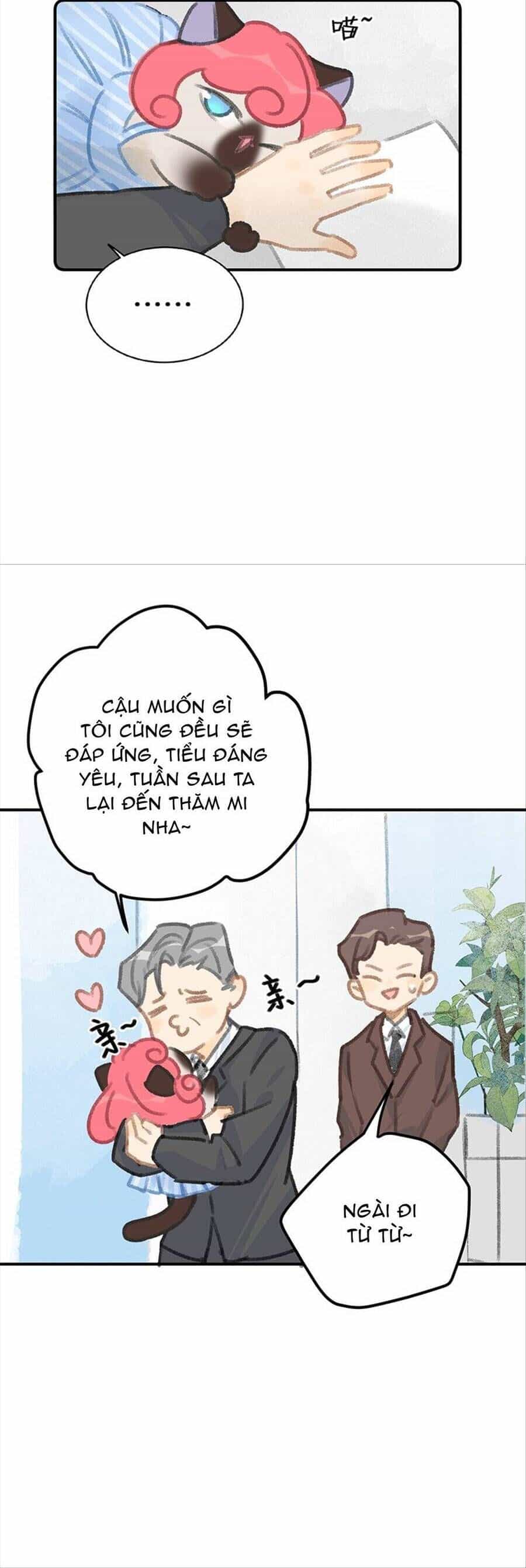 Lục Lạc Mèo - Chương 12 - ảnh 12