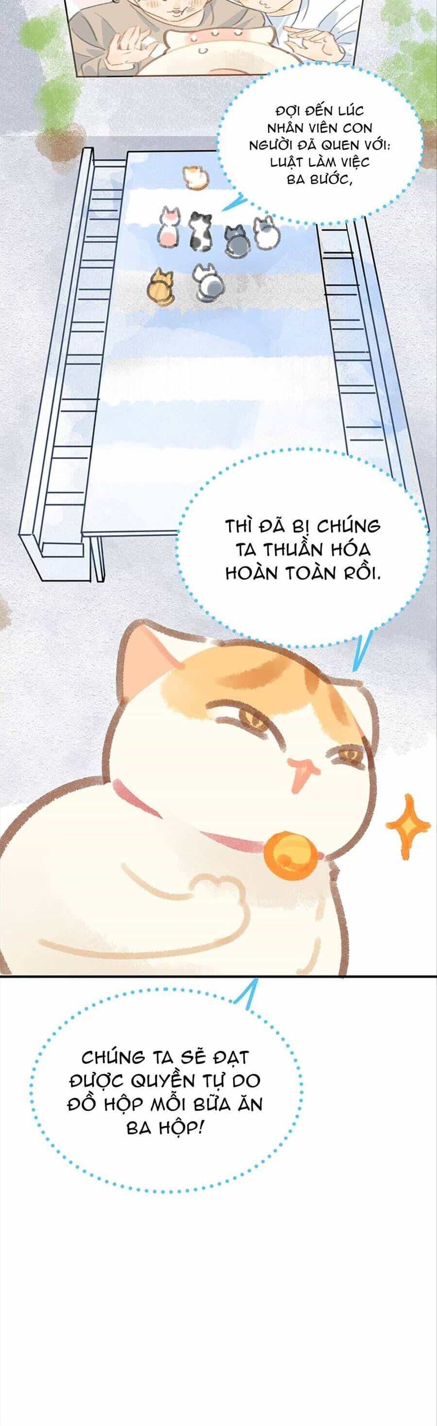 Lục Lạc Mèo - Chương 12 - ảnh 15