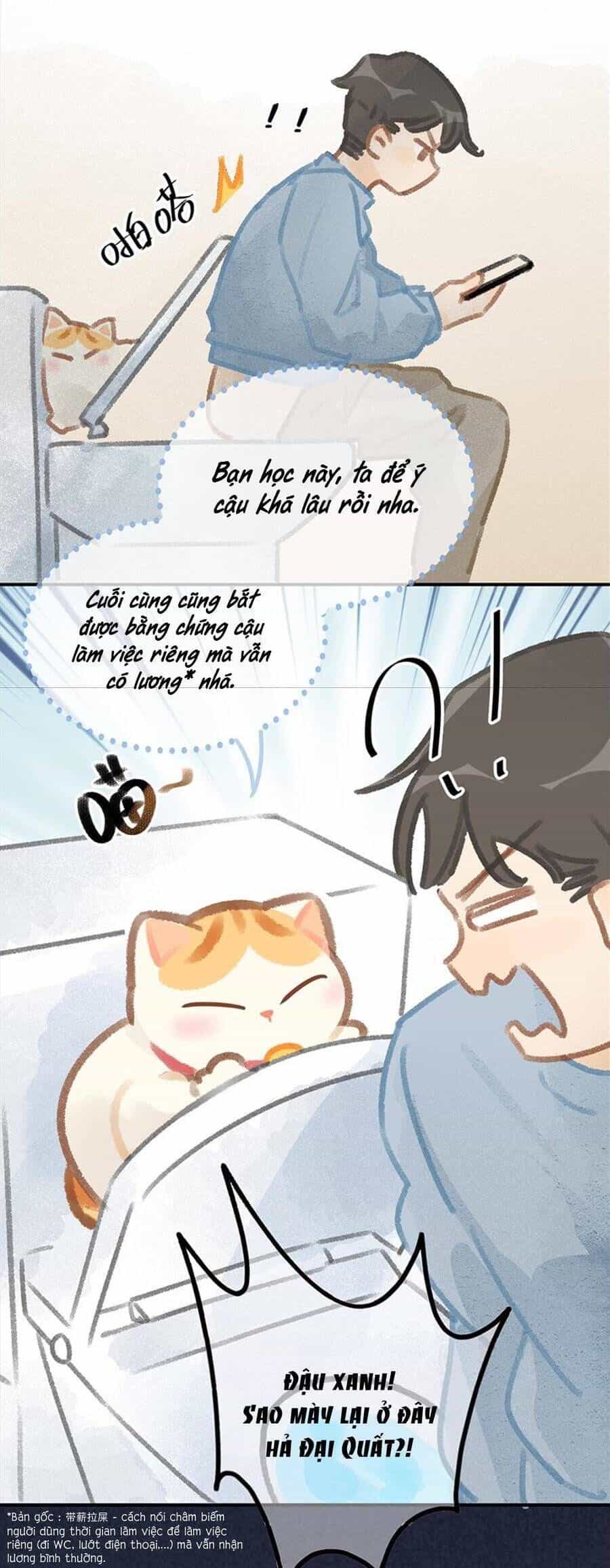 Lục Lạc Mèo - Chương 13 - ảnh 10