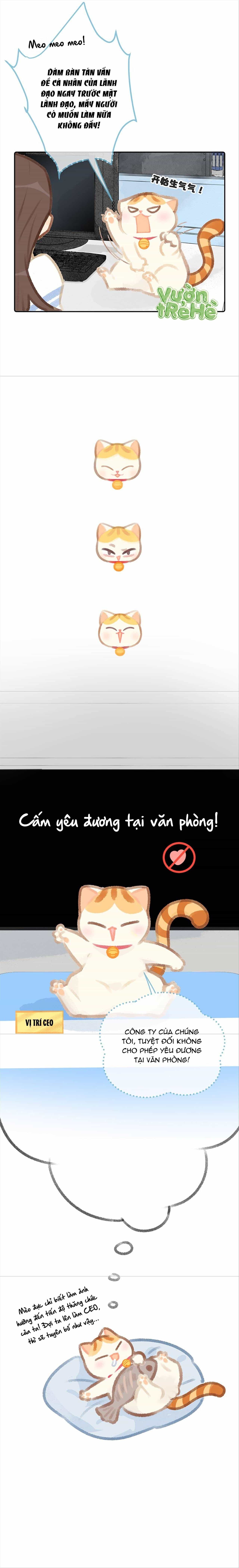 Lục Lạc Mèo - Chương 15 - ảnh 5