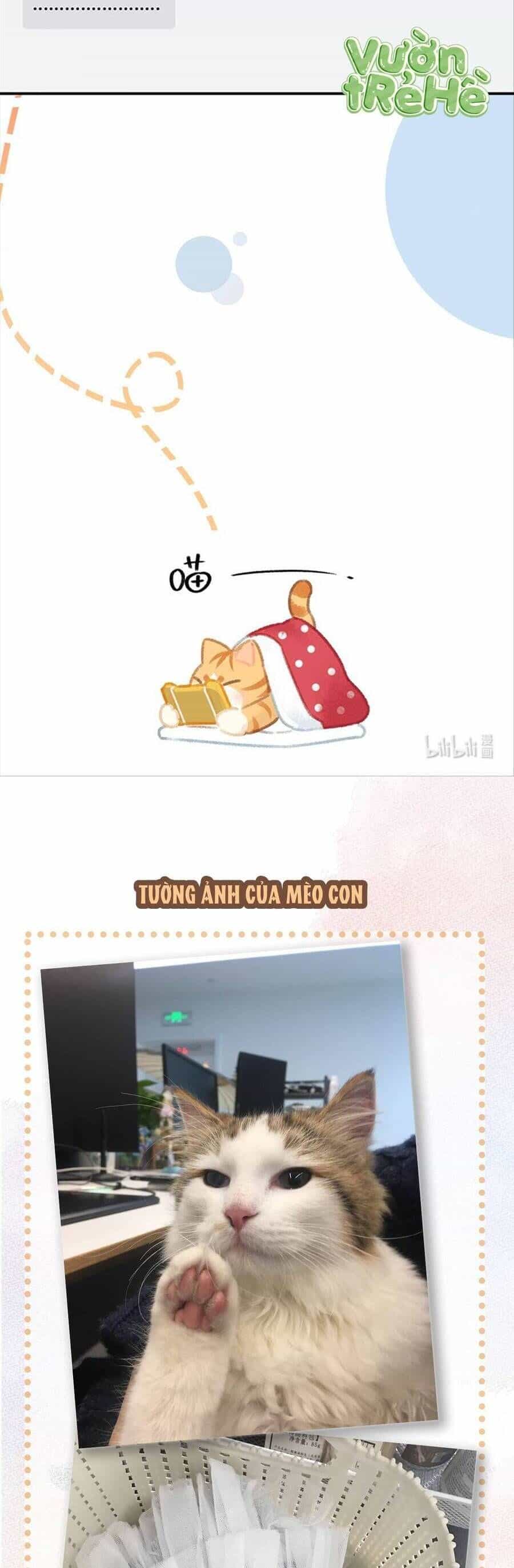 Lục Lạc Mèo - Chương 17 - ảnh 12