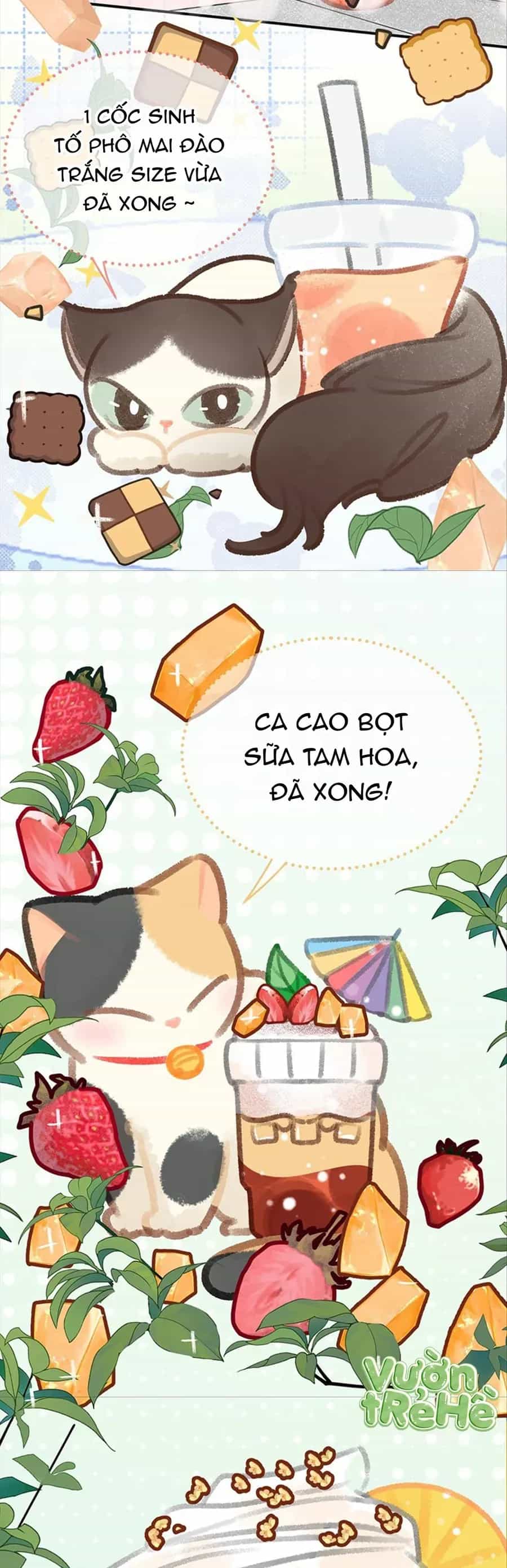 Lục Lạc Mèo - Chương 18 - ảnh 8