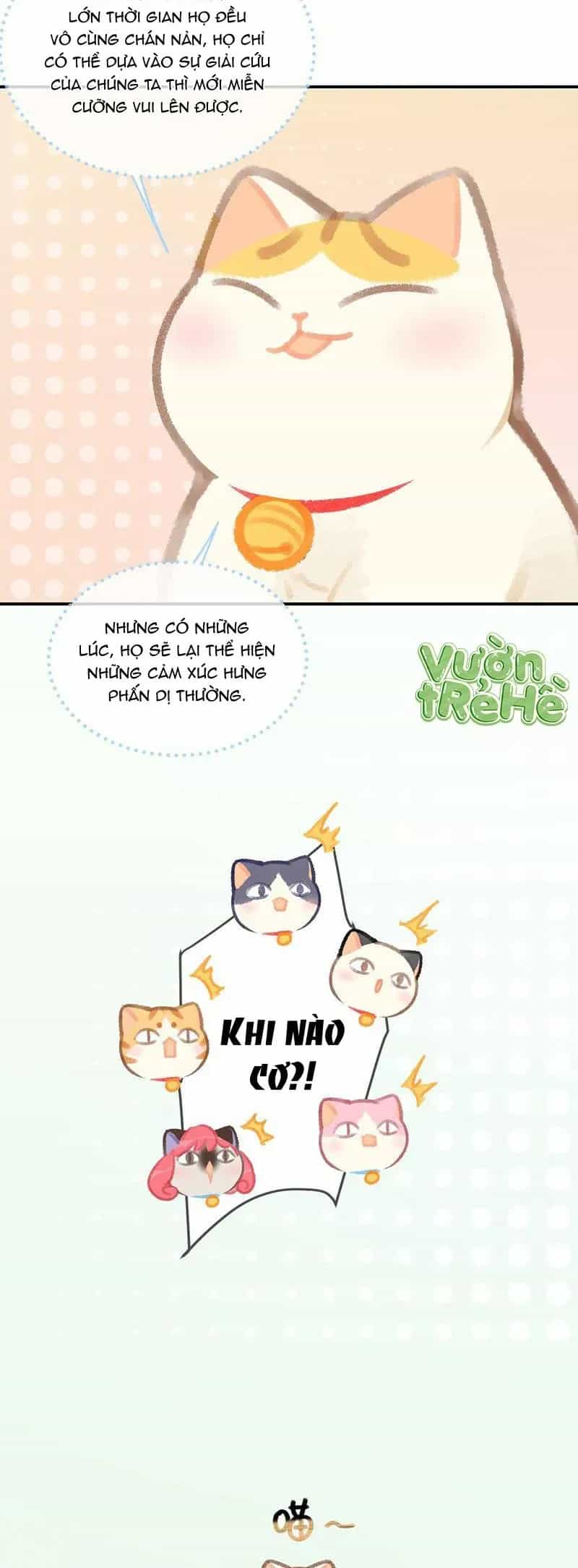 Lục Lạc Mèo - Chương 20 - ảnh 11