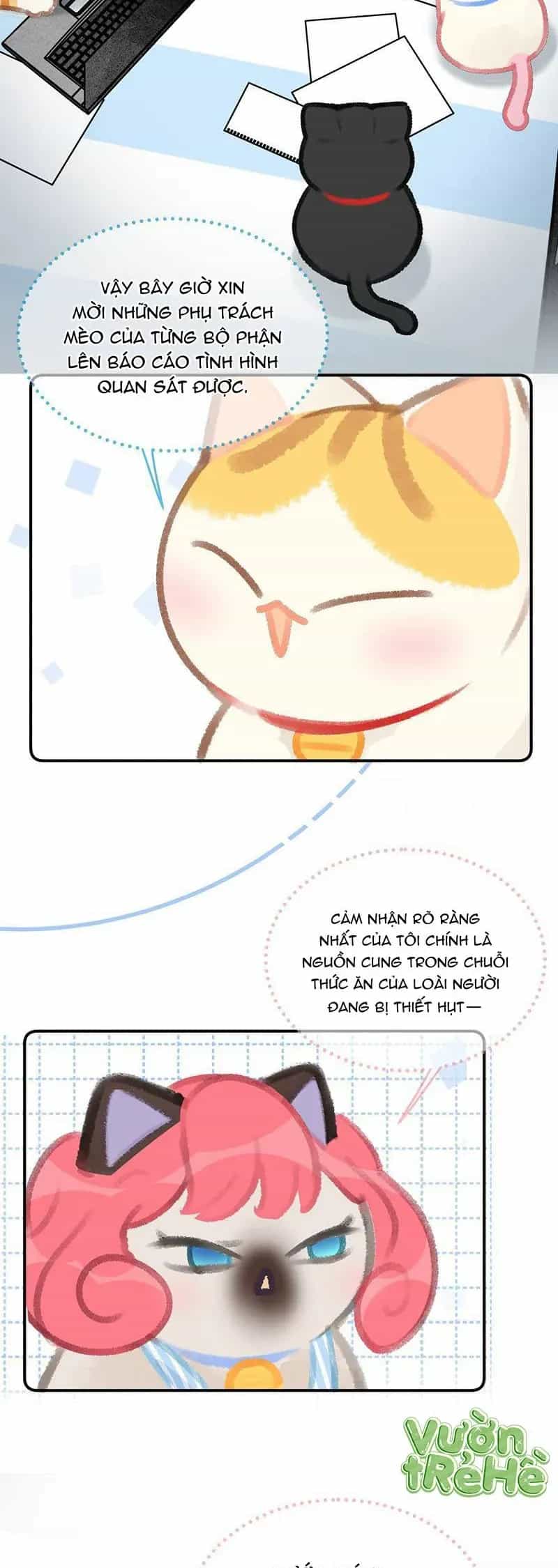 Lục Lạc Mèo - Chương 20 - ảnh 4