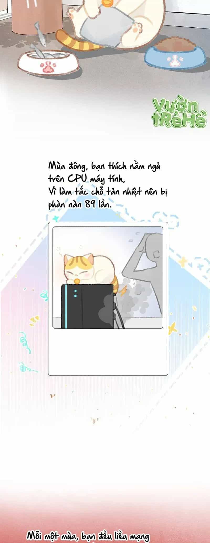Lục Lạc Mèo - Chương 21 - ảnh 10