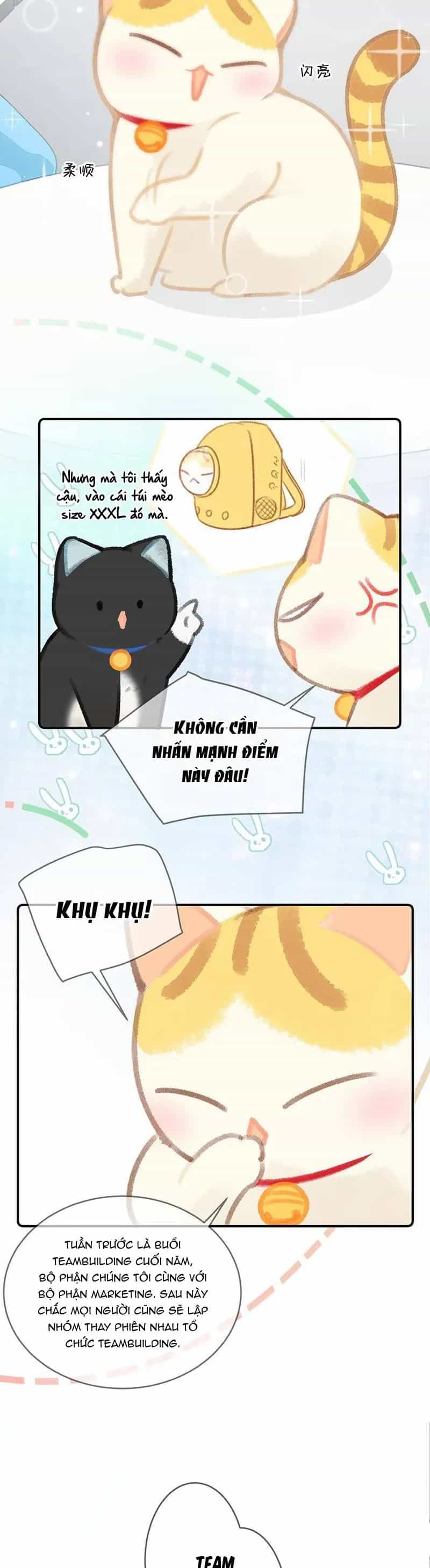 Lục Lạc Mèo - Chương 22 - ảnh 6