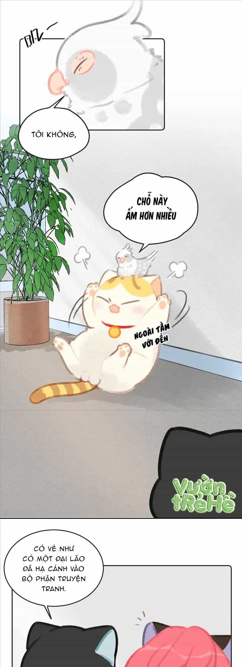 Lục Lạc Mèo - Chương 23 - ảnh 4