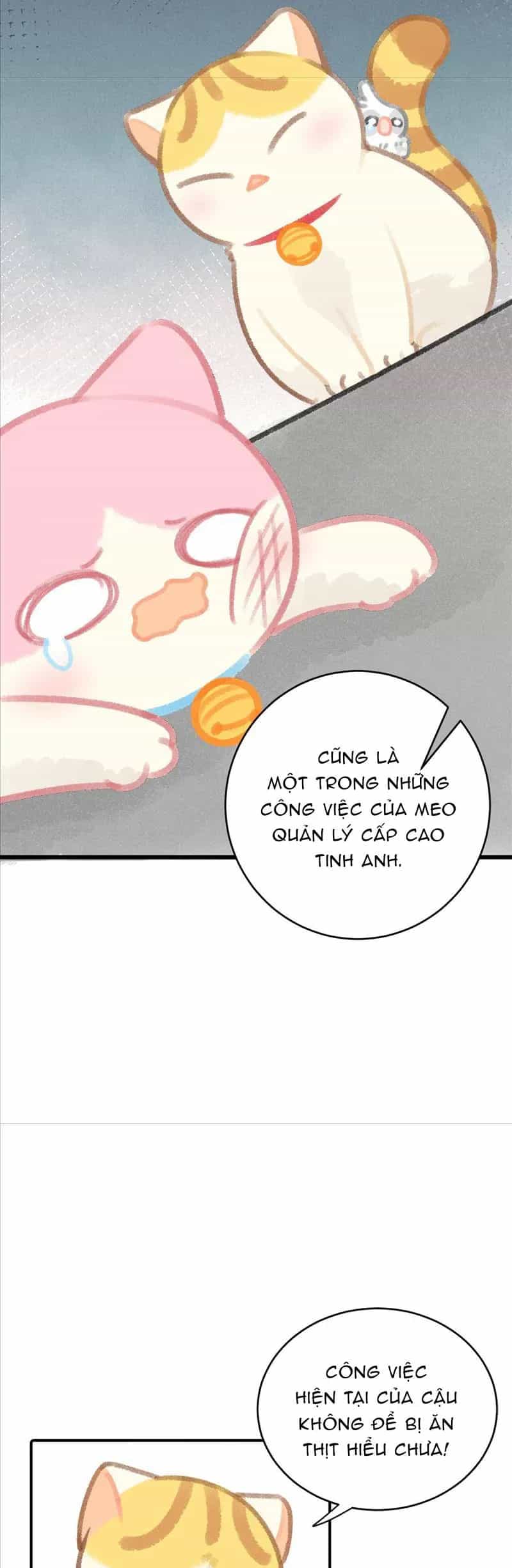Lục Lạc Mèo - Chương 24 - ảnh 15