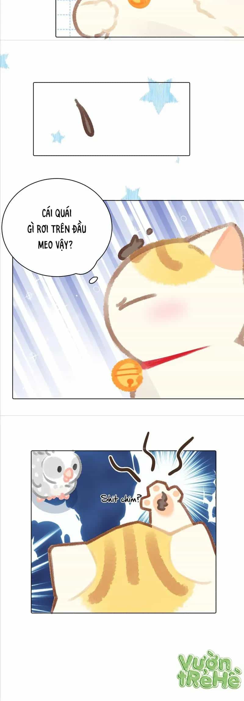 Lục Lạc Mèo - Chương 24 - ảnh 4