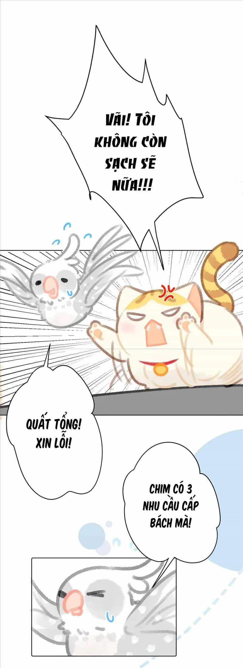 Lục Lạc Mèo - Chương 24 - ảnh 5